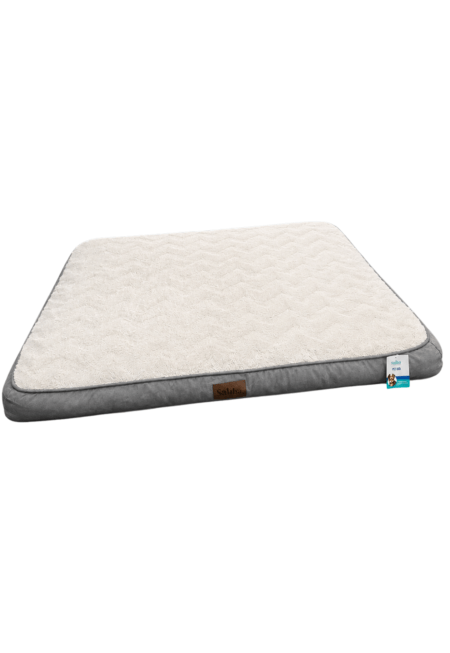 Cama 019
