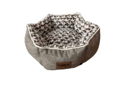 Cama - DBS253M