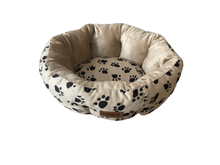 Cama - DBS241S