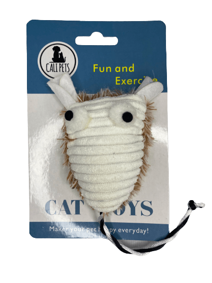 CT85710 Catnip
