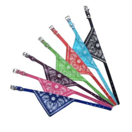 Collar gato con bandana 5350-1030 (1 x 30cm)