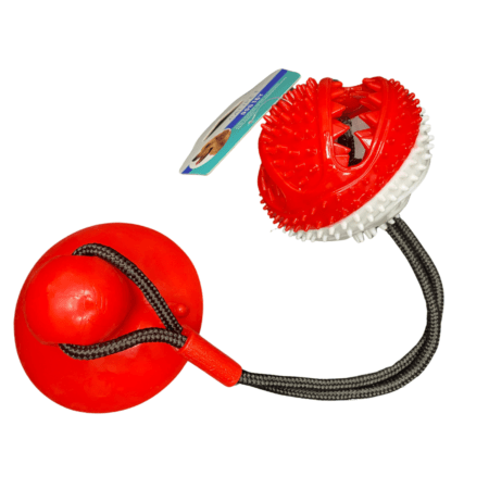 TP2235 (28cm)