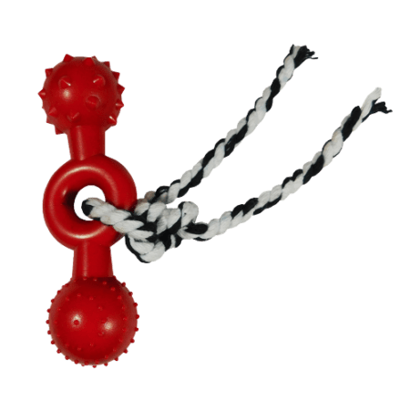 Juguete macizo Durapets con trenza doble 15,7 cm
