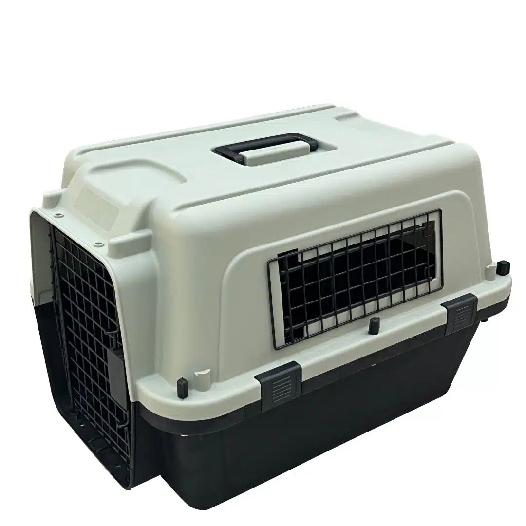 XGH6 Transportadora